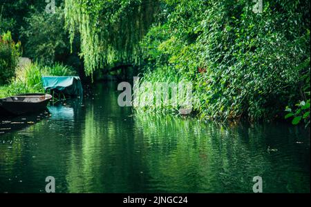 Spreewald. Der Spreewald wurde 1991 von der UNESCO zum Biosphärenreservat Spreewald ernannt. `s ist bekannt für seine traditionelle... Stockfoto